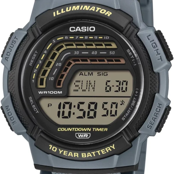 Оригинальные наручные часы Casio WS-1800-2A