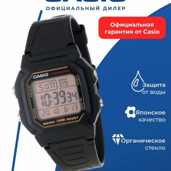 Наручные часы CASIO W-800HG-9A Спорт, черный